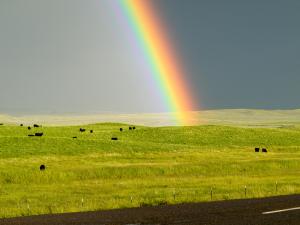 At The End Of The Rainbow